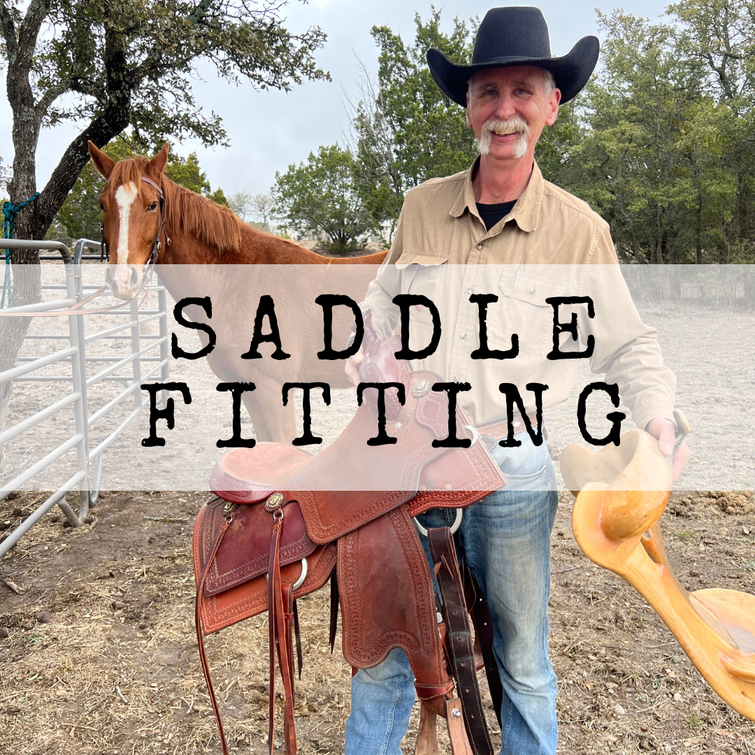 Western Saddle Fitting