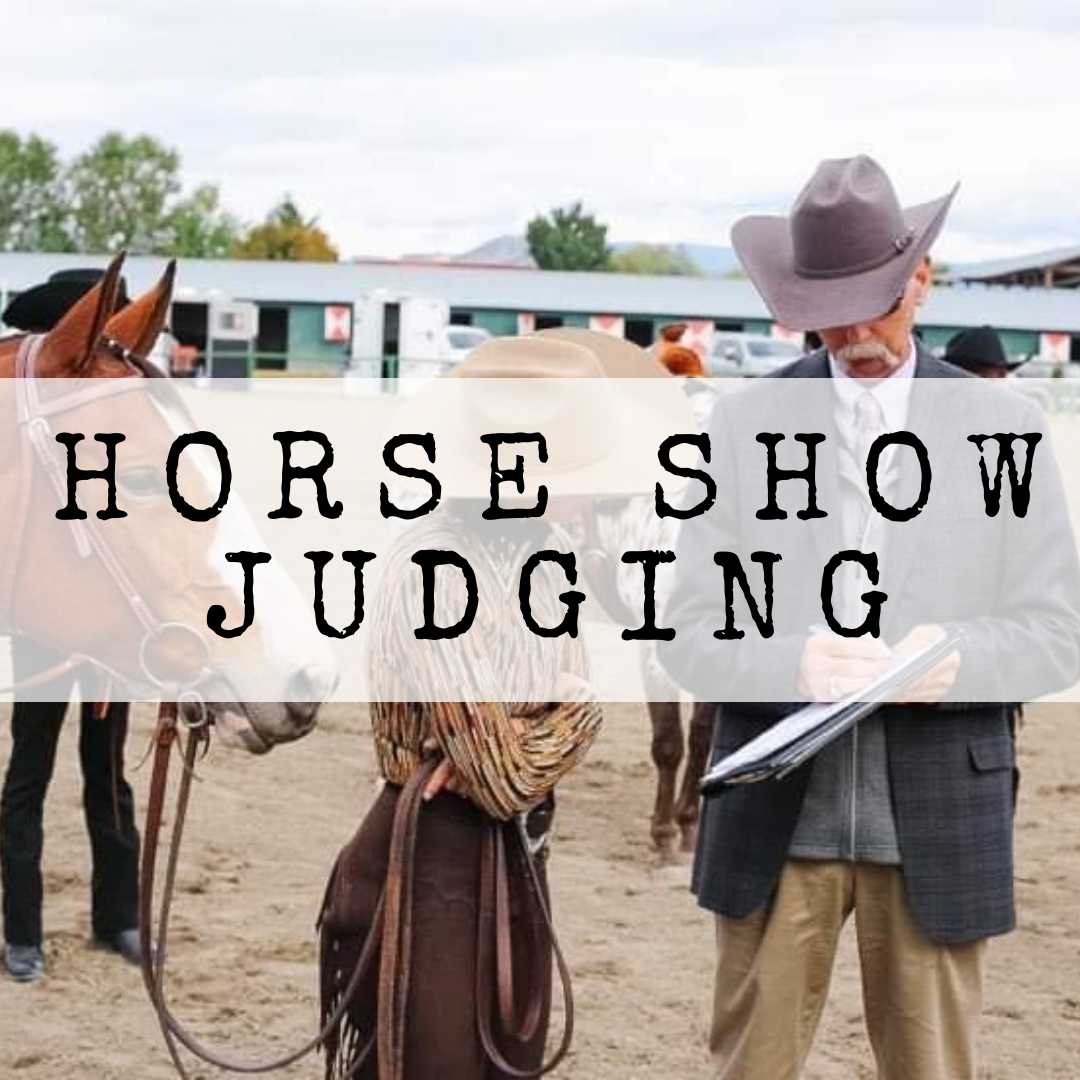 Horse Show Judging